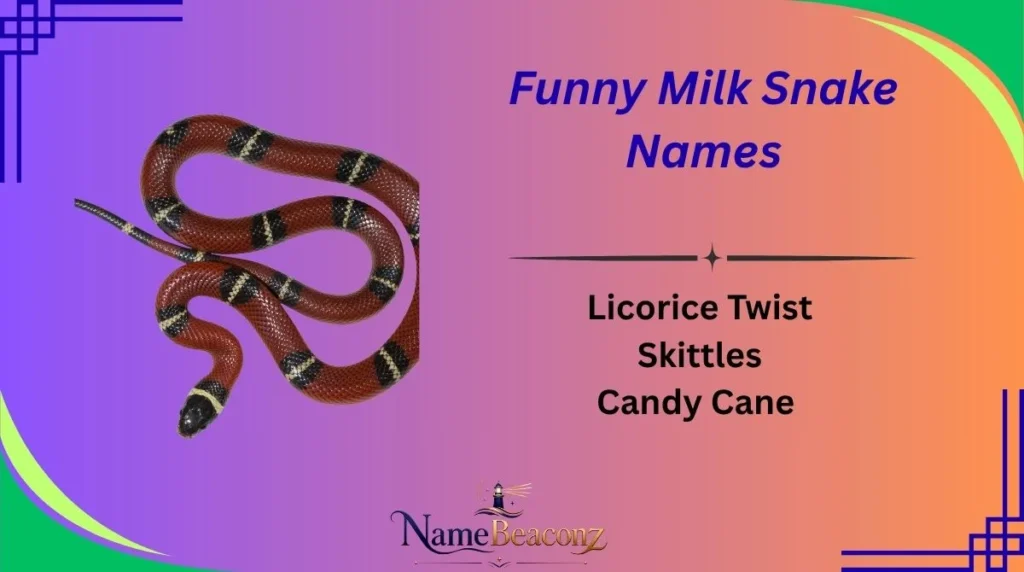 Funny Milk Snake Names