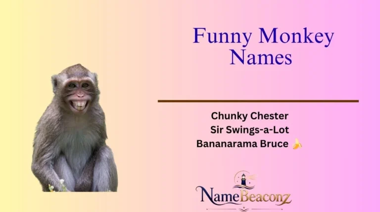 Funny Monkey Names