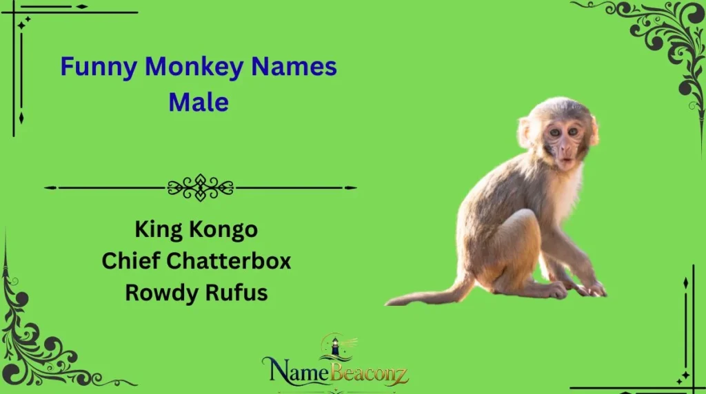 Funny Monkey Names Male