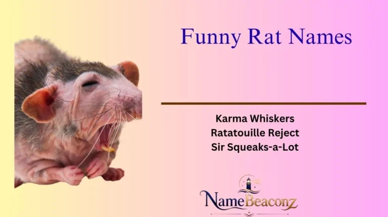 Funny Rat Names