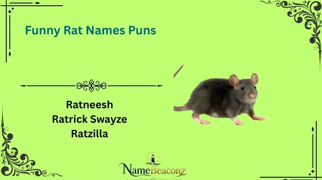 Funny Rat Names Puns