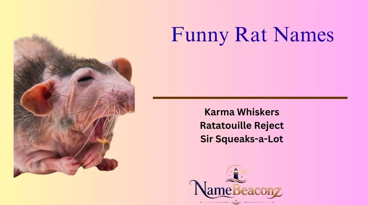Funny Rat Names