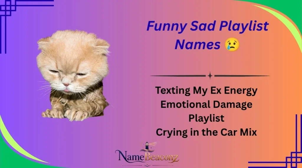 Funny Sad Playlist Names 