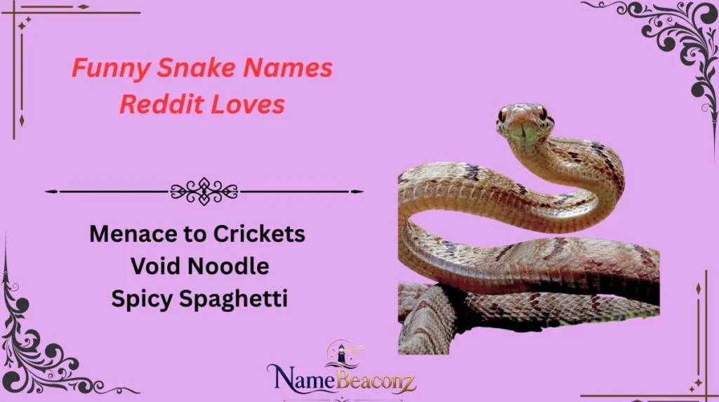 Funny Snake Names Reddit Loves