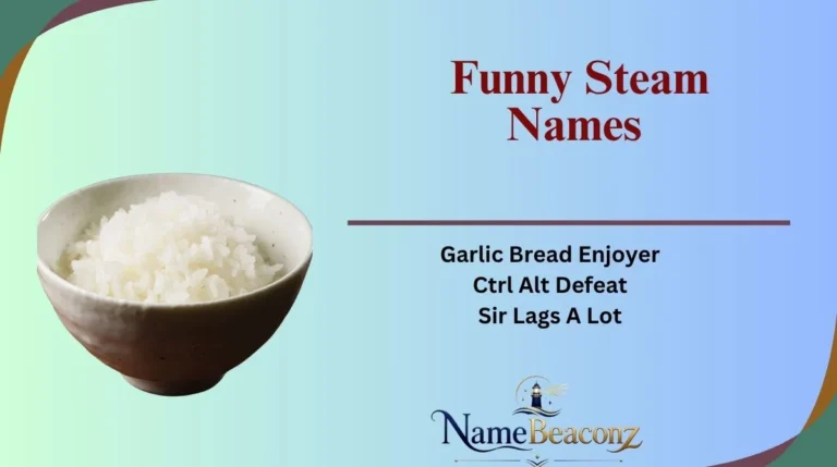 Funny Steam Names