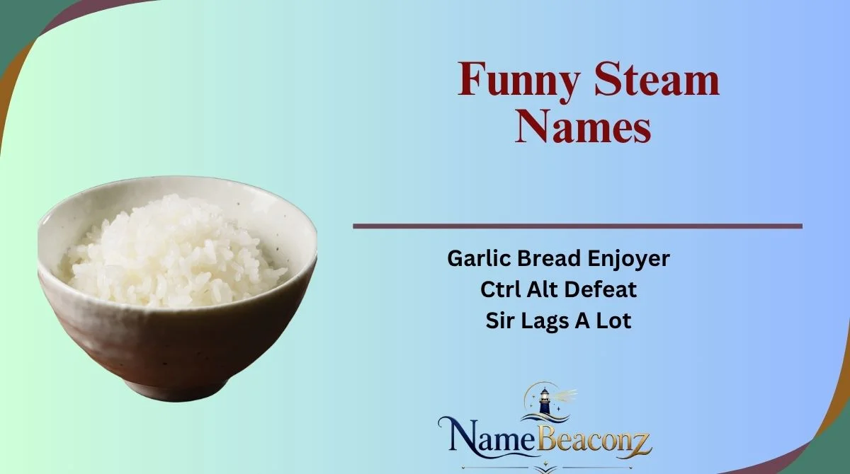 Funny Steam Names
