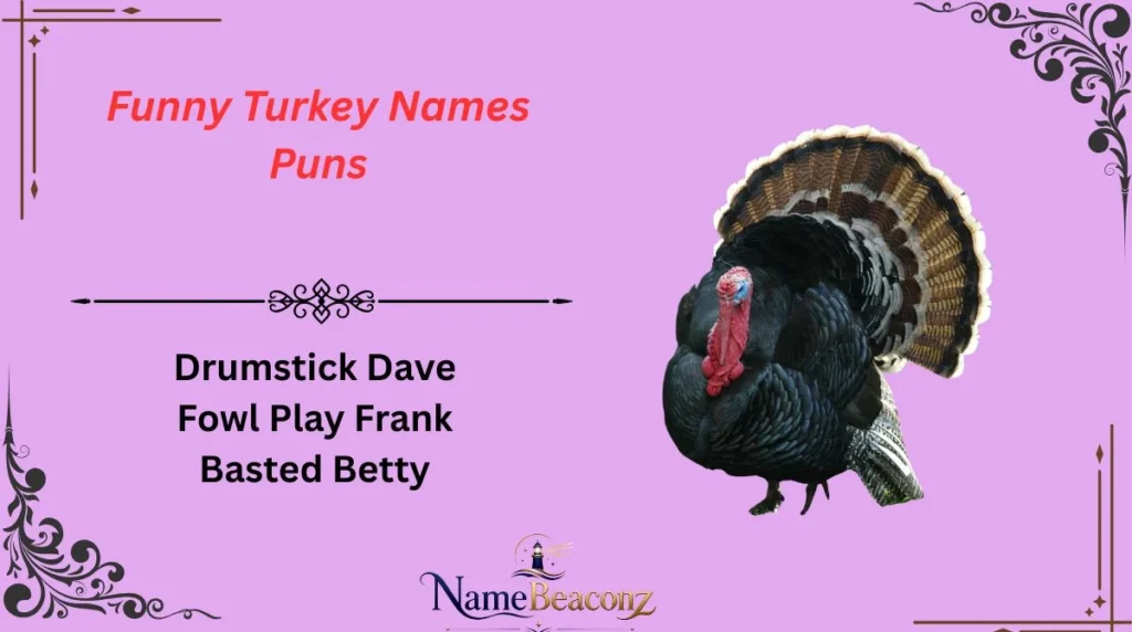 Funny Turkey Names Puns