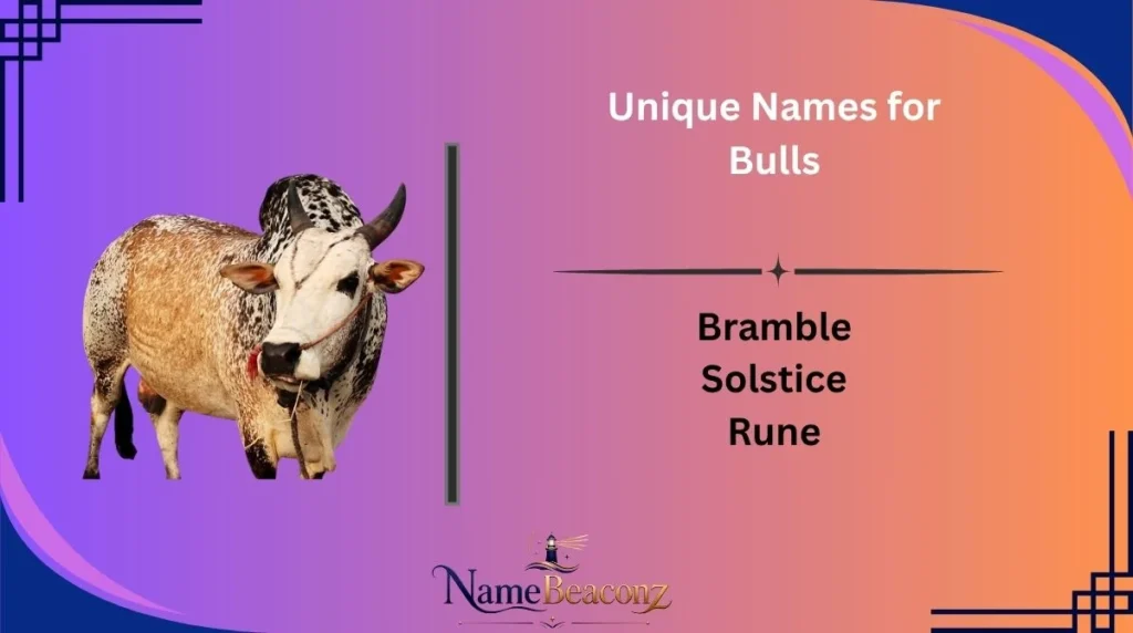 Unique Names for Bulls