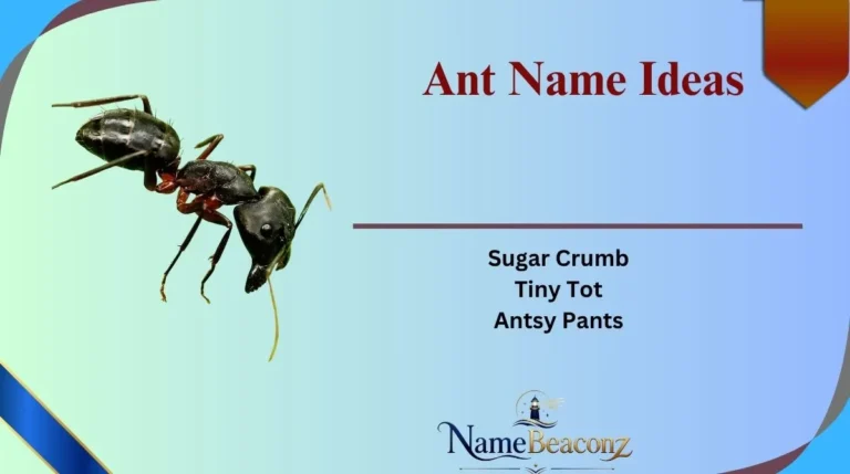 Ant Name Ideas