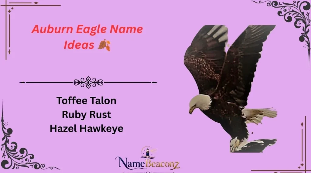 Auburn Eagle Name Ideas 🍂