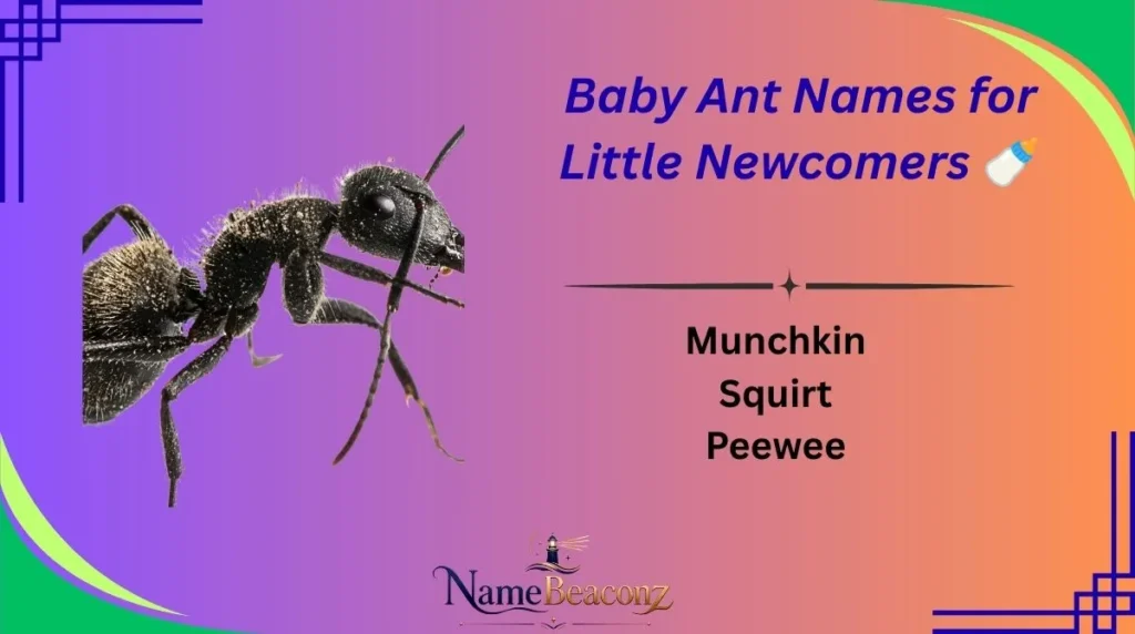 Baby Ant Names for Little Newcomers 🍼