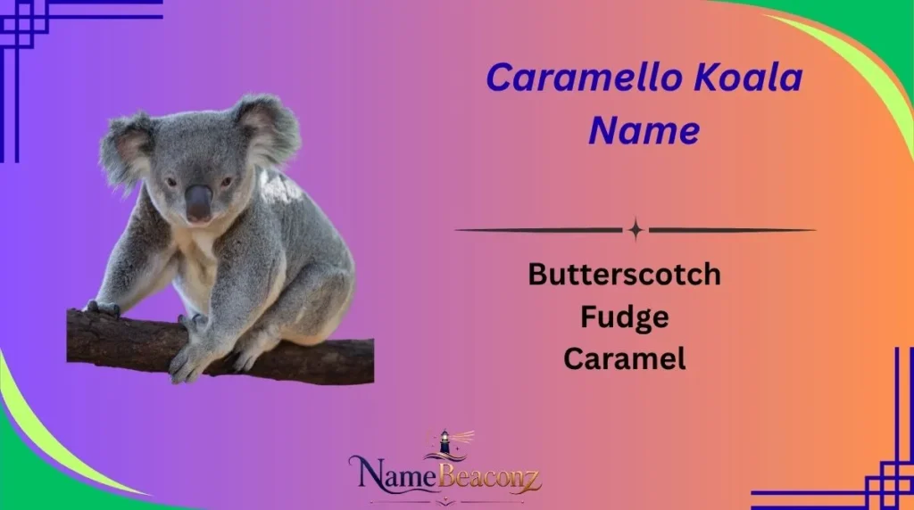 Caramello Koala Name