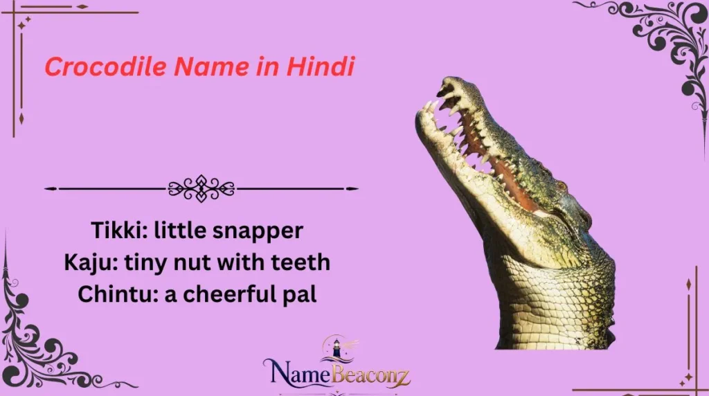 Crocodile Name in Hindi