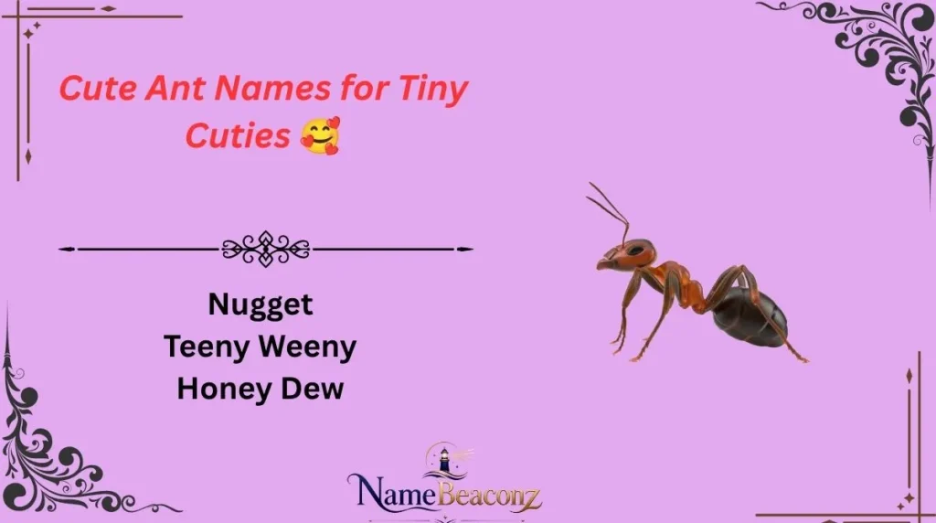 Cute Ant Names for Tiny Cuties 🥰