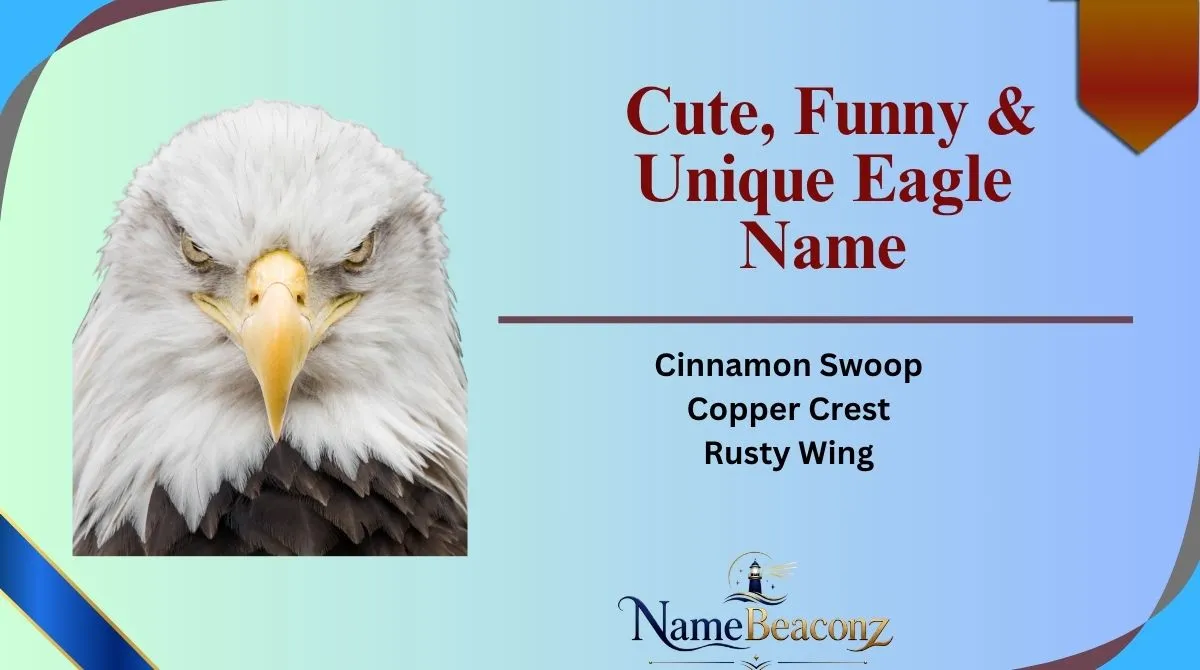 Cute, Funny & Unique Eagle Name