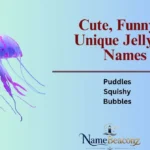 Cute, Funny & Unique Jellyfish Names