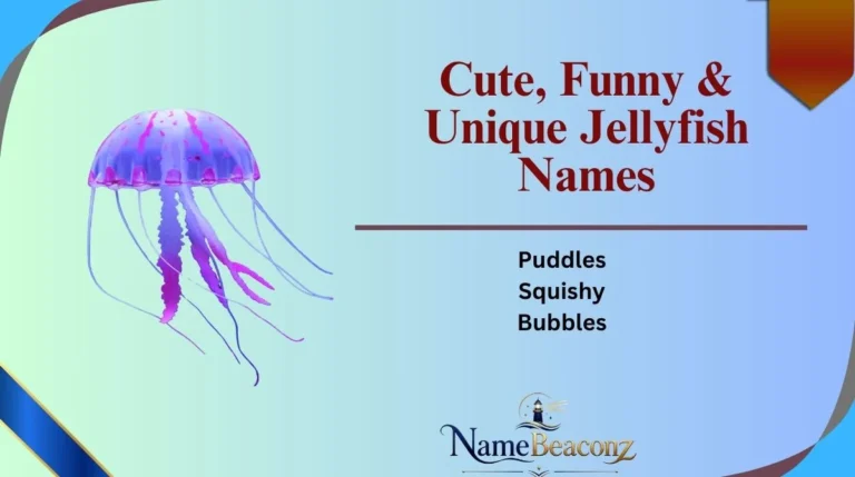Cute, Funny & Unique Jellyfish Names
