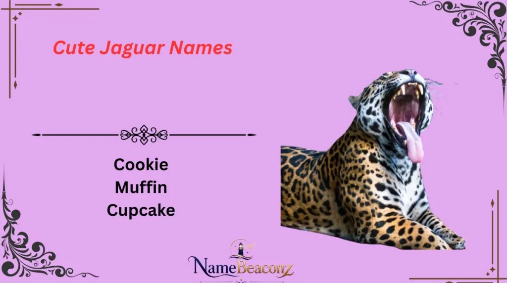 Cute Jaguar Names