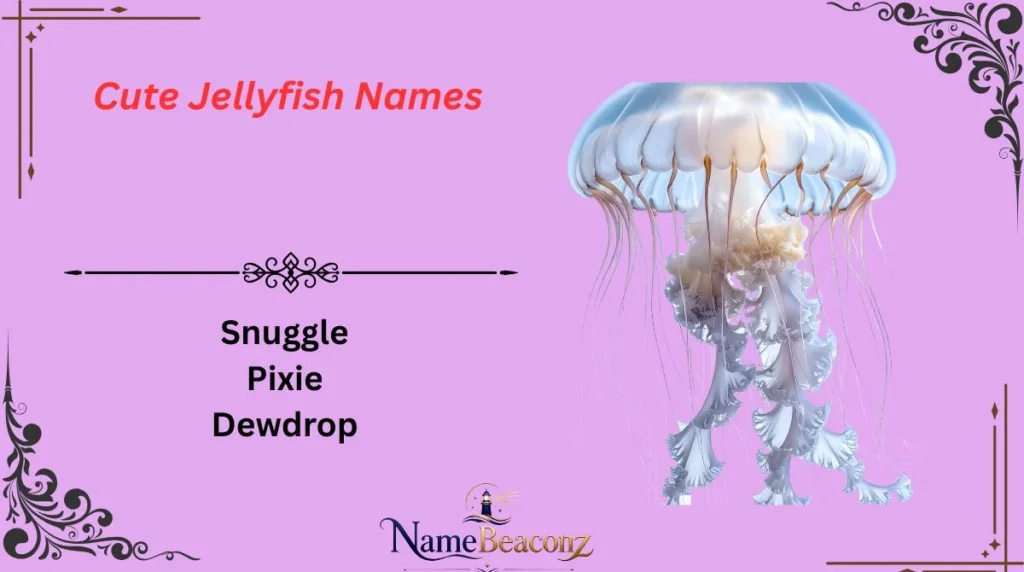 Cute Jellyfish Names