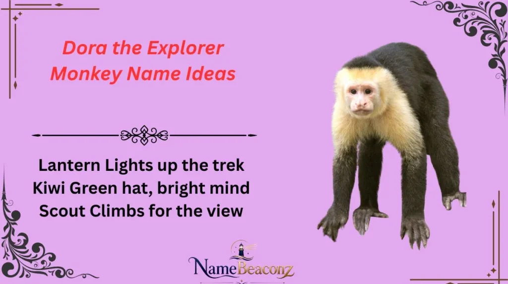 Dora the Explorer Monkey Name Ideas