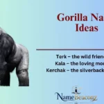 Gorilla Name Ideas