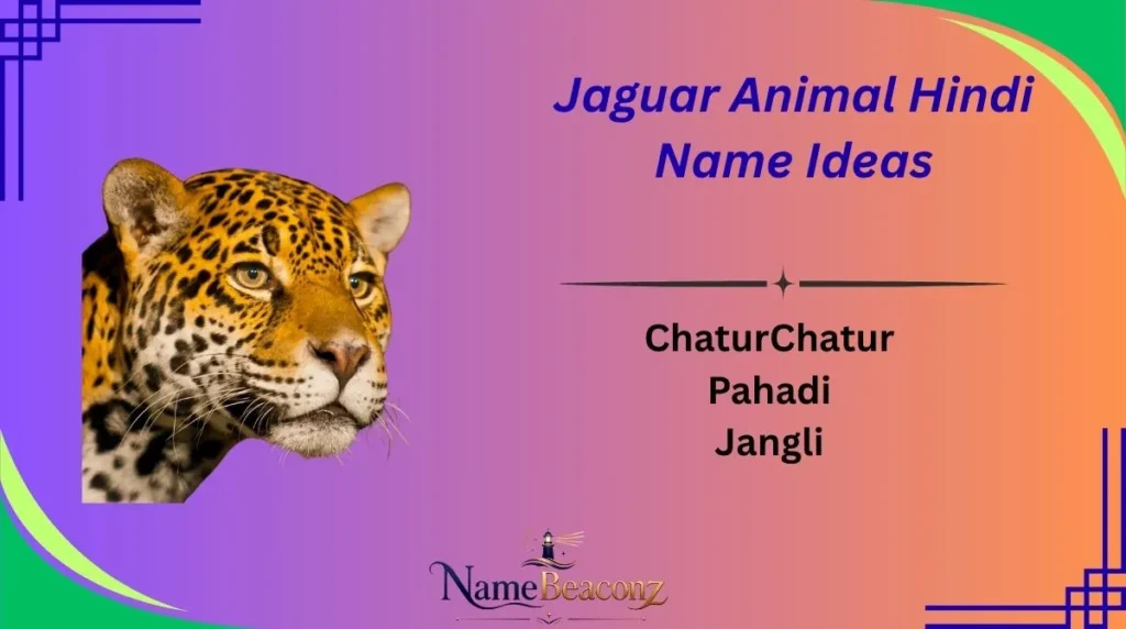 Jaguar Animal Hindi Name Ideas