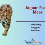 Jaguar Name Ideas