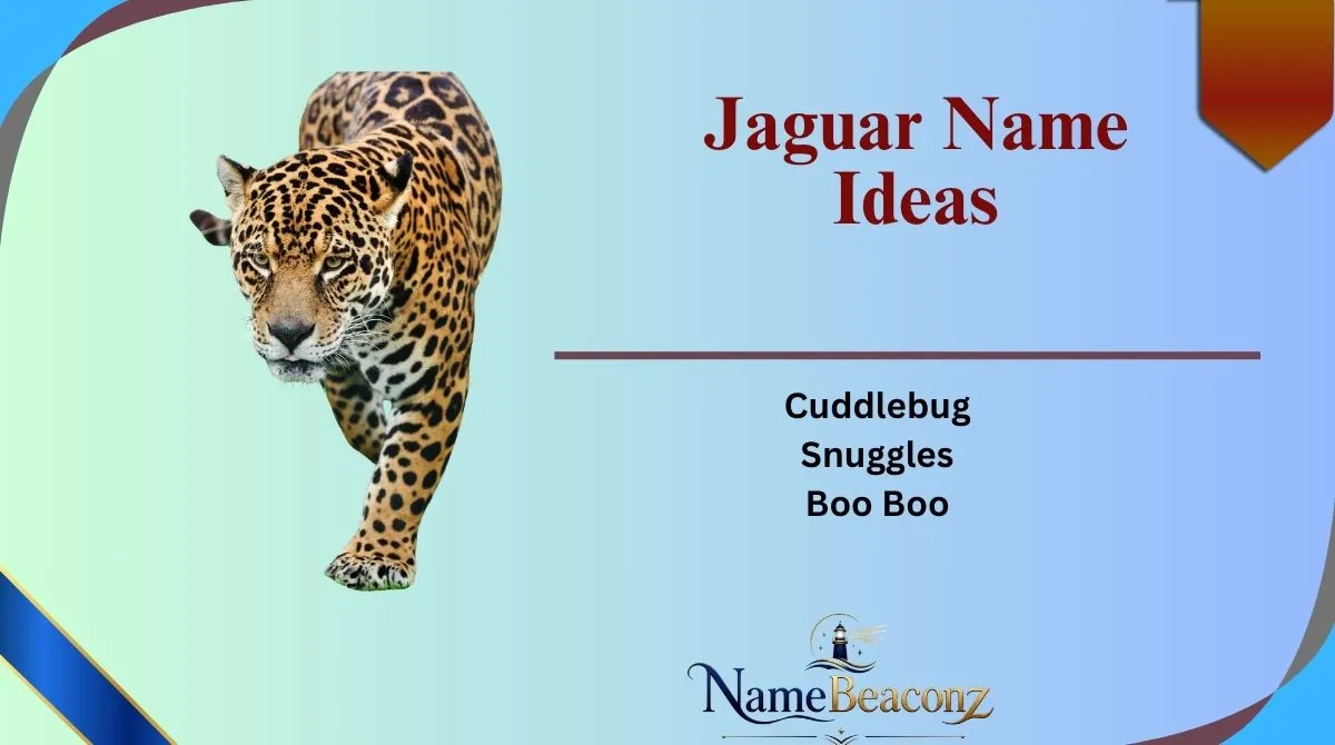 Jaguar Name Ideas
