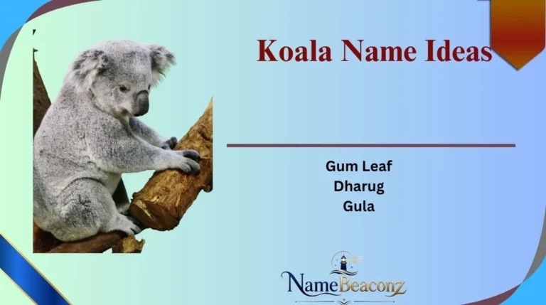 Koala Name Ideas