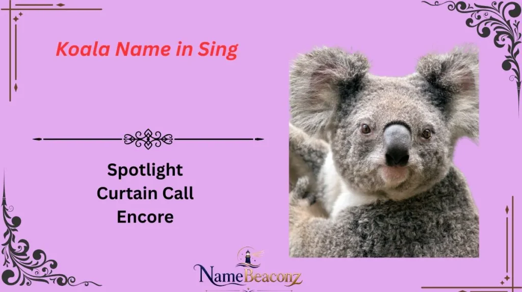 Koala Name in Sing