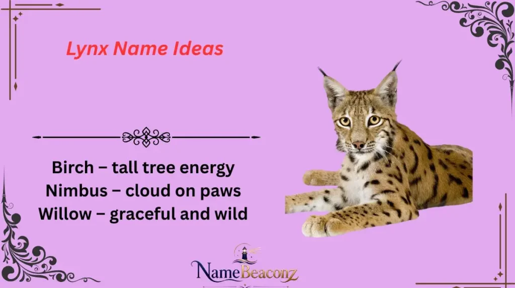 Lynx Name Ideas