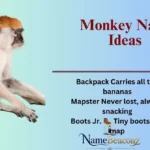 Monkey Name Ideas