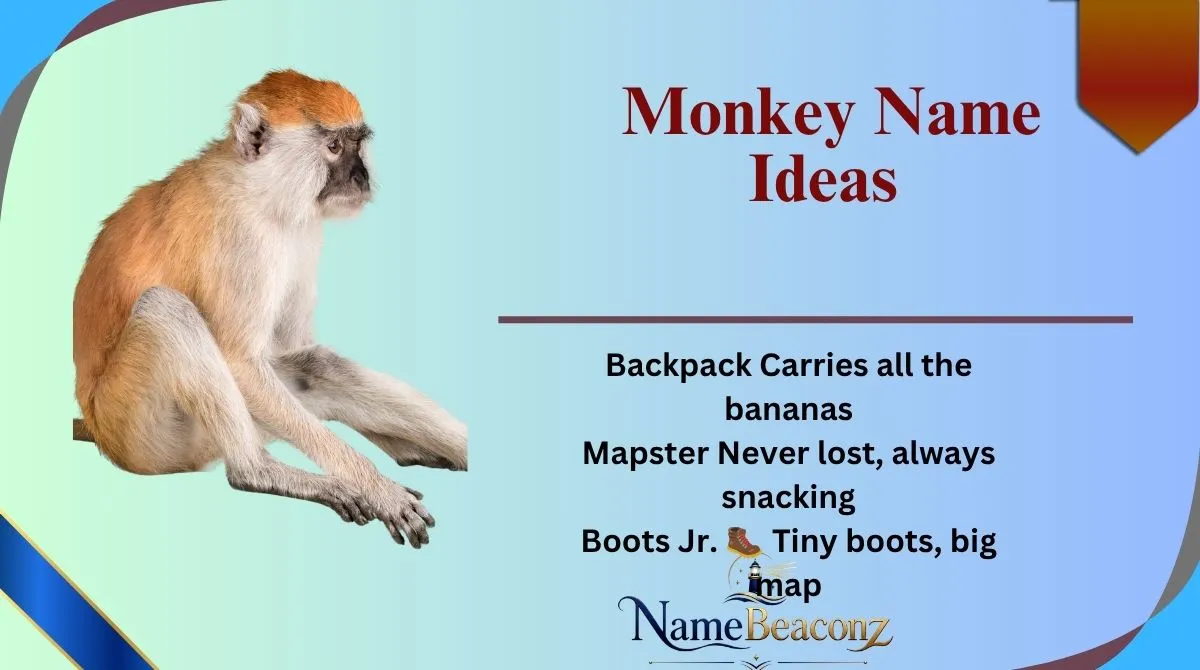 Monkey Name Ideas