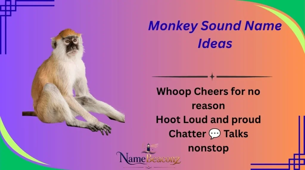 Monkey Sound Name Ideas
