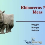 Rhinoceros Name Ideas