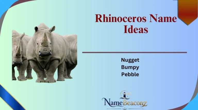 Rhinoceros Name Ideas