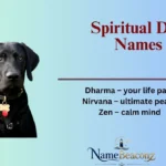 Spiritual Dog Names
