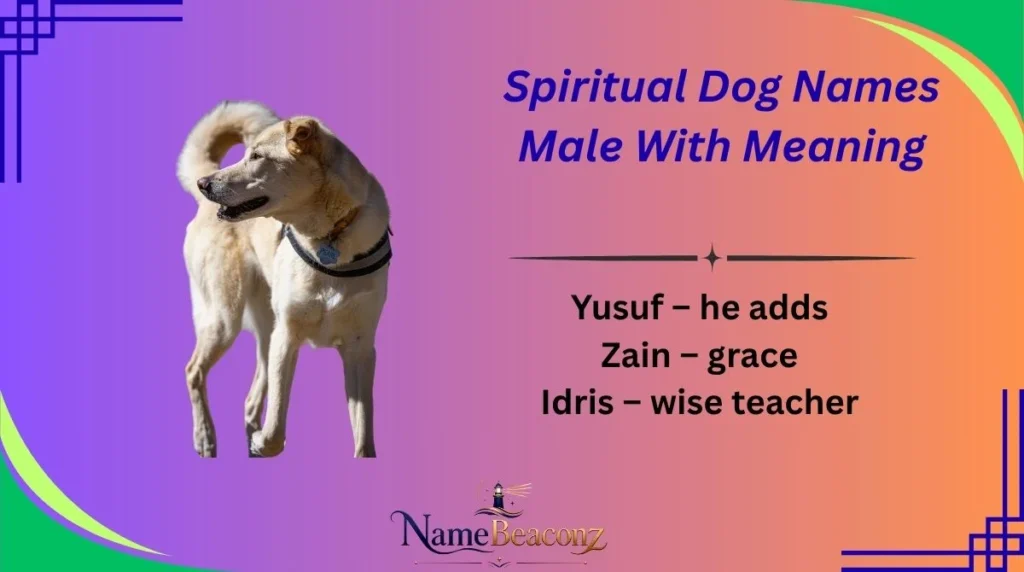 Spiritual Dog Names Male With Meaning