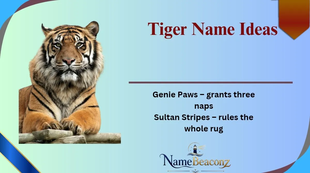 Tiger Name Ideas