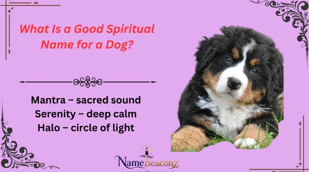 What Is a Good Spiritual Name for a Dog?
